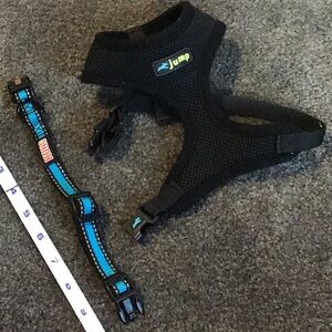 Pet bundle xsmall jump and Kong